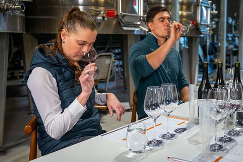 Winemaker Experience - Accommodation Nelson Bay 1