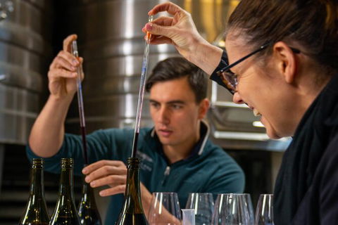 Winemaker Experience - Accommodation Nelson Bay 2