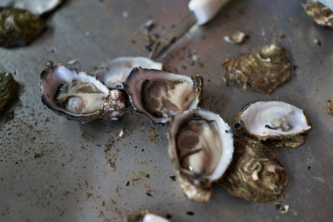 Fine Flavours - Full Day Kangaroo Island Food & Wine Tour - Accommodation Nelson Bay 10