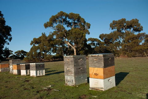 Fine Flavours - Full Day Kangaroo Island Food & Wine Tour - Accommodation Nelson Bay 5