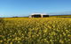 Fine Flavours - Full Day Kangaroo Island Food & Wine Tour - thumb 11