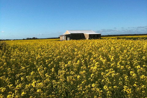 Fine Flavours - Full Day Kangaroo Island Food & Wine Tour - Accommodation Nelson Bay 11