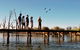 8 Day Upper Murraylands Cruise On PS Murray Princess - thumb 5