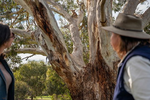 NEW TOUR - Kangaroo Island Road To Recovery Tour (1 Day/1 Night) - Accommodation Nelson Bay 2