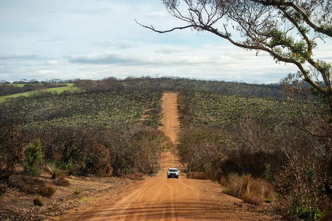NEW TOUR - Kangaroo Island Road To Recovery Tour (1 Day/1 Night) - Accommodation Nelson Bay 1