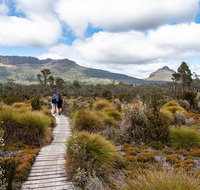 Cradle Mountain Day Tour - Accommodation Nelson Bay