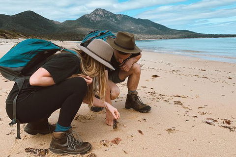Freycinet Walking Tour - Accommodation Nelson Bay 0