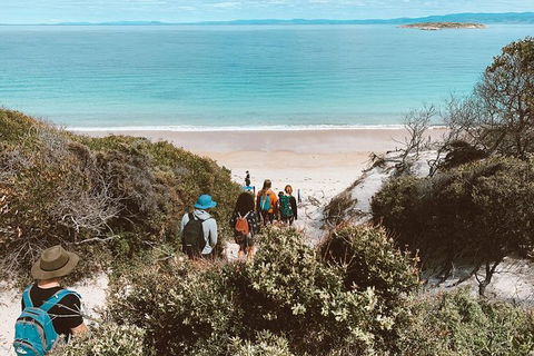 Freycinet Walking Tour - Accommodation Nelson Bay 2