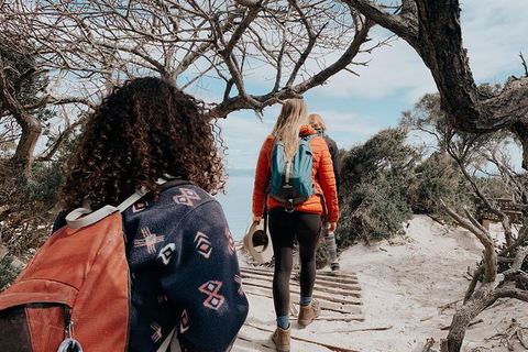 Freycinet Walking Tour - Accommodation Nelson Bay 6
