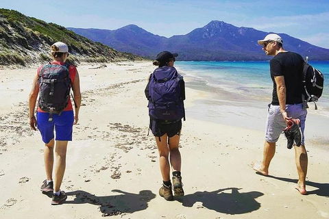 Freycinet Walking Tour - Accommodation Nelson Bay 1