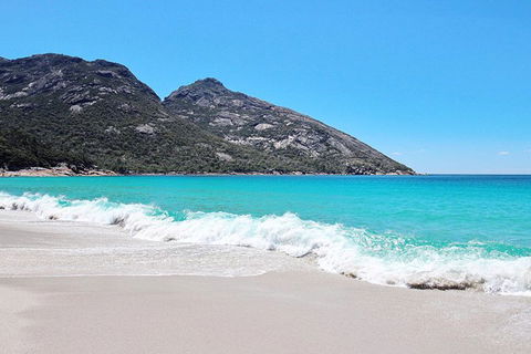 Sea & Explore Wineglass Bay & Freycinet National Park - Cruise & Walk - Accommodation Nelson Bay 4