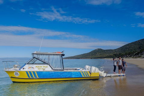 Sea & Explore Wineglass Bay & Freycinet National Park - Cruise & Walk - Accommodation Nelson Bay 7