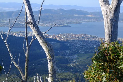 Mt. Wellington Morning Hike + Afternoon Beer & History Walk - Accommodation Nelson Bay 10