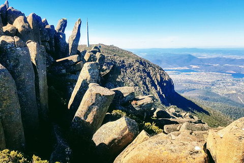 Mt. Wellington Morning Hike + Afternoon Beer & History Walk - Accommodation Nelson Bay 11