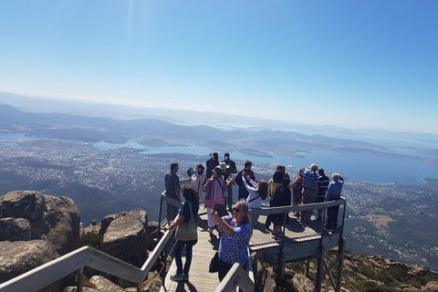 Mt. Wellington Morning Hike + Afternoon Beer & History Walk - Accommodation Nelson Bay 2