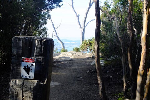 Mt. Wellington Morning Hike + Afternoon Beer & History Walk - Accommodation Nelson Bay 14