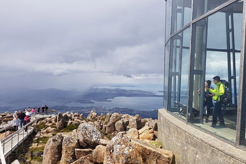 Mt. Wellington Morning Hike + Afternoon Beer & History Walk - Accommodation Nelson Bay 12
