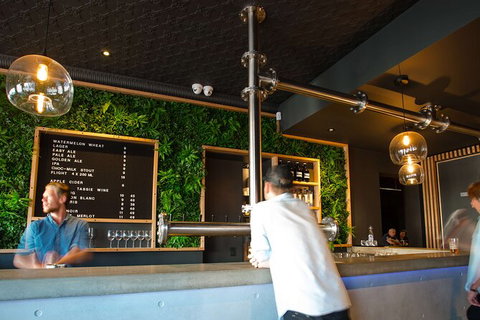 Mt. Wellington Morning Hike + Afternoon Beer & History Walk - Accommodation Nelson Bay 15