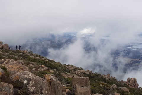 Mt. Wellington Morning Hike + Afternoon Beer & History Walk - Accommodation Nelson Bay 18