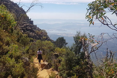 Mt. Wellington Morning Hike + Afternoon Beer & History Walk - Accommodation Nelson Bay 1