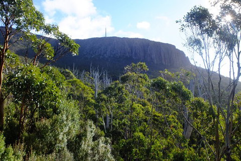 Mt. Wellington Morning Hike + Afternoon Beer & History Walk - Accommodation Nelson Bay 4