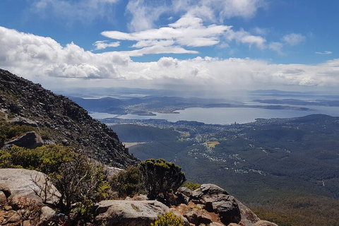Mt. Wellington Morning Hike + Afternoon Beer & History Walk - Accommodation Nelson Bay 5