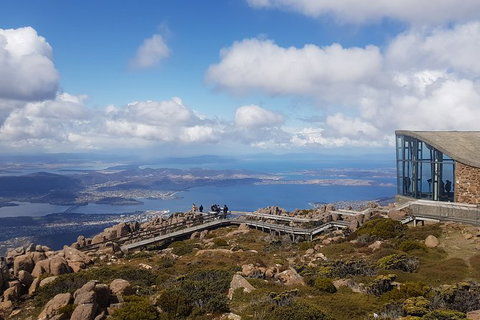 Mt. Wellington Morning Hike + Afternoon Beer & History Walk - Accommodation Nelson Bay 3