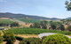 Yarra Valley Cellar Door And Gin Day - thumb 0