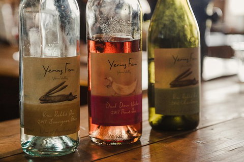 Yarra Valley Wine, Bubbles And Gin Tour! - Accommodation Nelson Bay 0