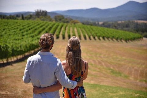 Yarra Valley Wine, Bubbles And Gin Tour! - Accommodation Nelson Bay 1