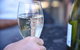 Yarra Valley Wine, Bubbles And Gin Tour! - thumb 3