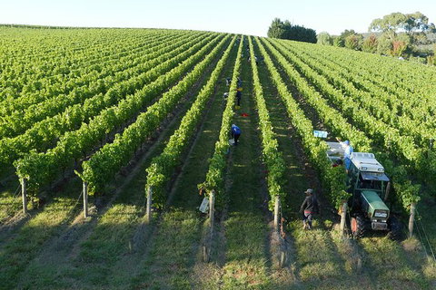 Yarra Valley Wine, Bubbles And Gin Tour! - Accommodation Nelson Bay 6