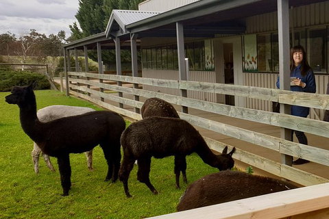 Yarra Valley Farmgate Tours - Accommodation Nelson Bay 4