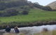 Great Ocean Road Custom Tour - thumb 5