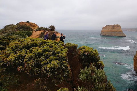 Great Ocean Road Custom Tour - Accommodation Nelson Bay 11