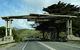 Great Ocean Road Custom Tour - thumb 1