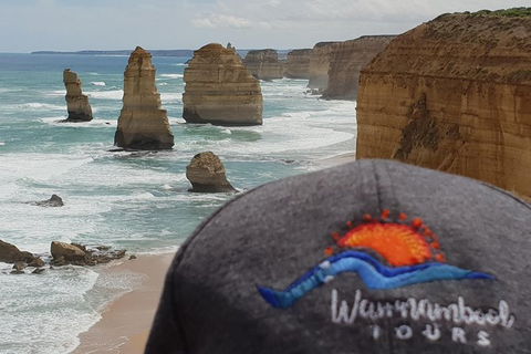 12 Apostles Tour From Warrnambool - Accommodation Nelson Bay 0