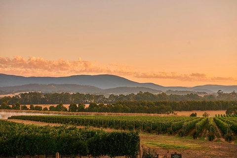 Yarra Valley Wine Masterclass - Up To 6 - Accommodation Nelson Bay 0