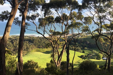 Overnight Great Ocean Road Tour From Melbourne - Accommodation Nelson Bay 3