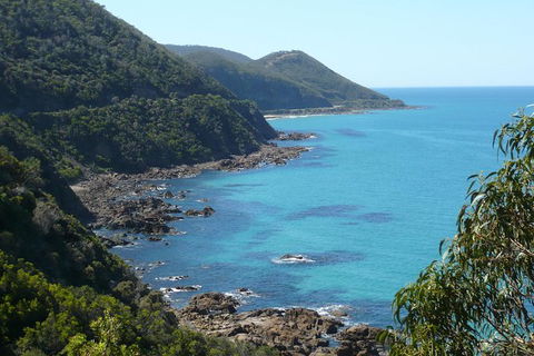 Overnight Great Ocean Road Tour From Melbourne - Accommodation Nelson Bay 6