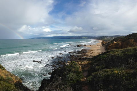 Overnight Great Ocean Road Tour From Melbourne - Accommodation Nelson Bay 1