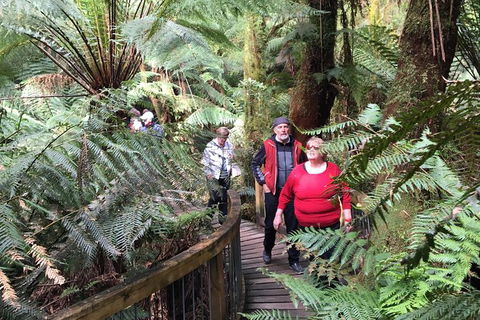 Overnight Great Ocean Road Tour From Melbourne - Accommodation Nelson Bay 2