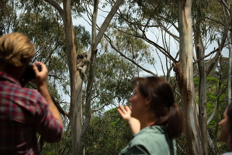 Indigenous Culture And Nature Tour - Accommodation Nelson Bay 2