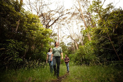 Indigenous Culture And Nature Tour - Accommodation Nelson Bay 6