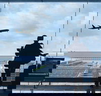 Private Transfer Avalon International Airport AVV to Melbourne - Accommodation Nelson Bay