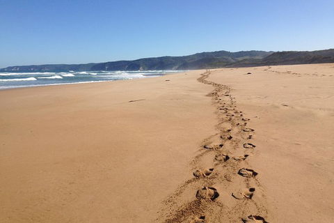 3 Day Private Tour Of Phillip Island, Great Ocean Road & Mornington Peninsula - Accommodation Nelson Bay 1