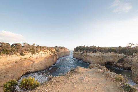 PRIVATE Great Ocean Road Tour And 12 Apostles With Wildlife Spotting - Accommodation Nelson Bay 1