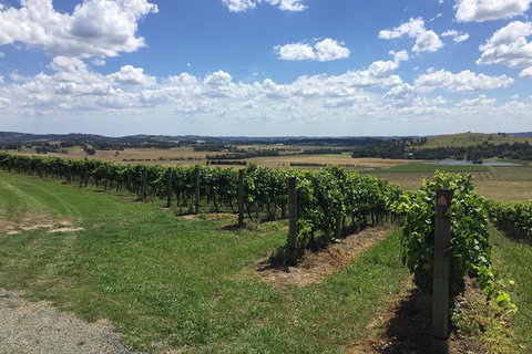 Yarra Valley Wine Tasting Tour - Accommodation Nelson Bay 1