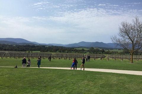 Yarra Valley Wine Tasting Tour - Accommodation Nelson Bay 2