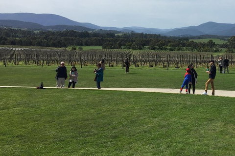 Yarra Valley Wine Tasting Tour - Accommodation Nelson Bay 0